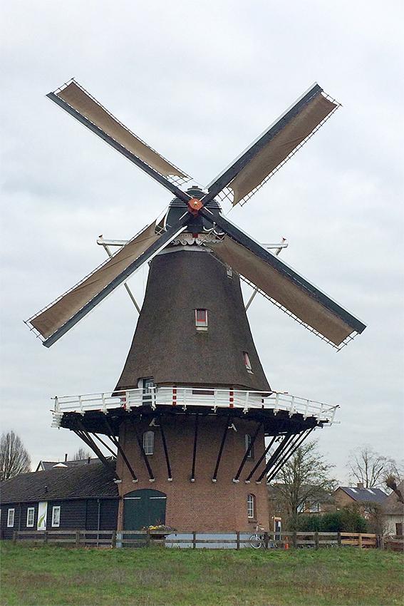 Molen 01009 Havekes Mölle (vh. De Volharding) (Twello), Willem Telgen (8-2-2020) | Database Nederlandse molens