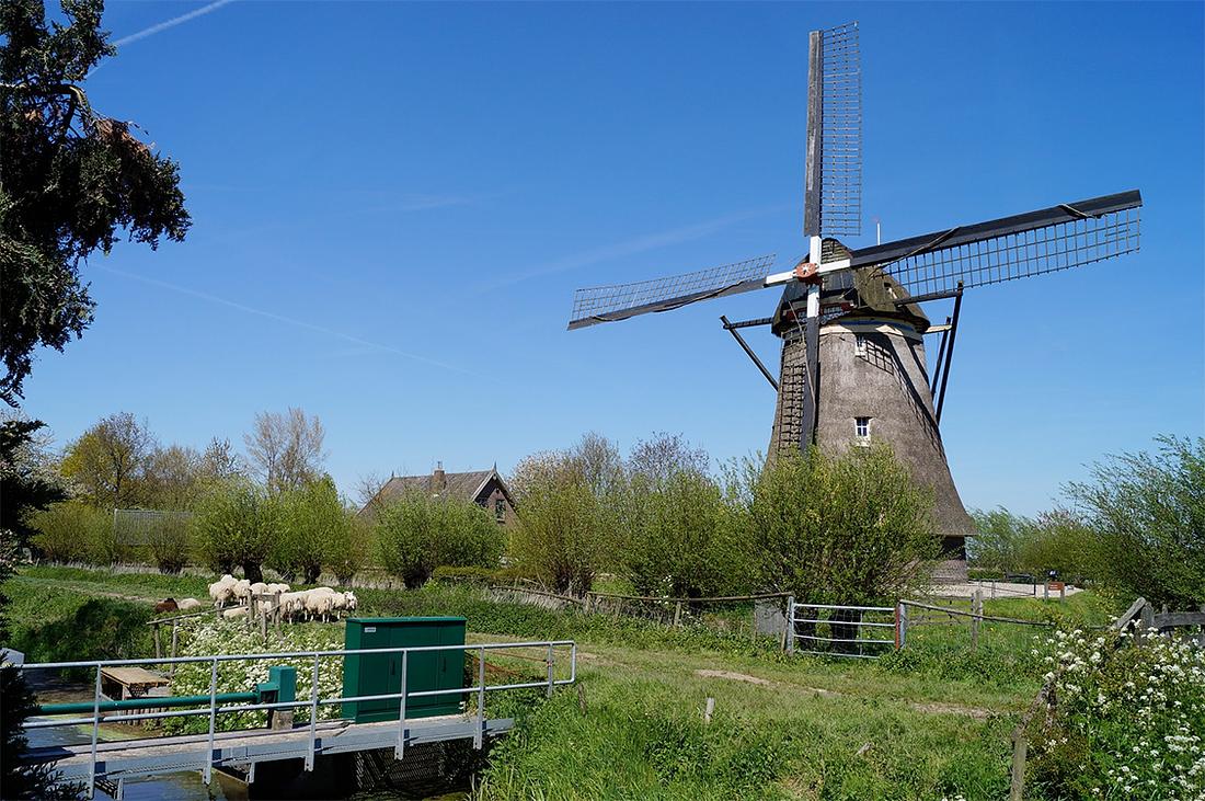 1, Molen 00846 (poldermolen) (Waardenburg), Boukje van Leijen (5-5-2016) | Database Nederlandse molens