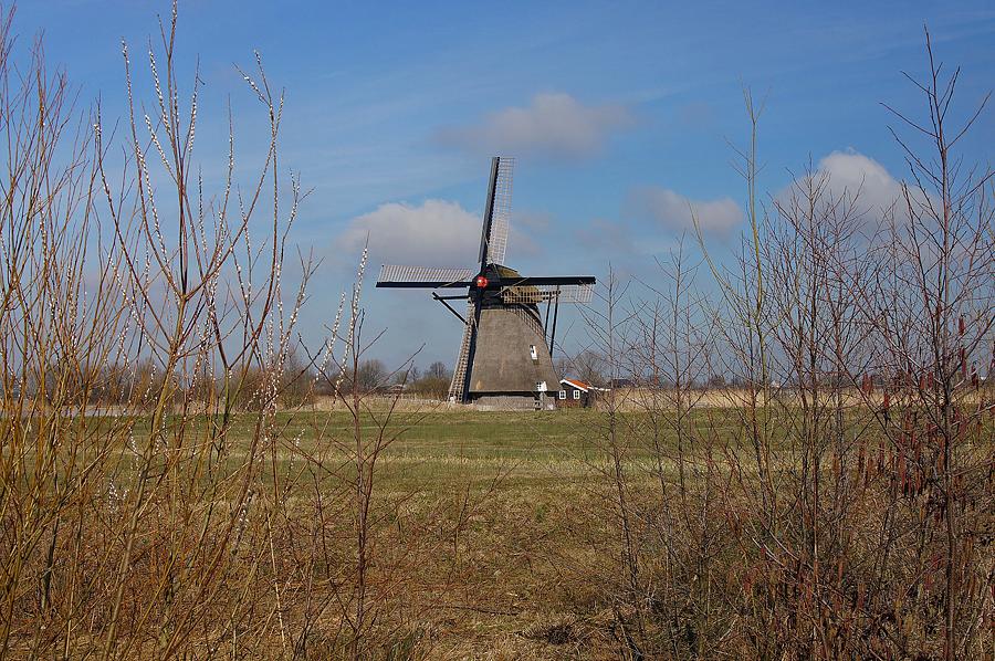 1, Molen 10674 (poldermolen) (Ophemert (vh. Wadenoijen)), De molen en zijn omgeving. Boukje van Leijen (11-3-2015). | Database Nederlandse molens