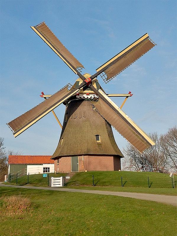 Molen 12237 De Vlijt (Wapenveld), Tony Hop (30-12-2015) | Database Nederlandse molens