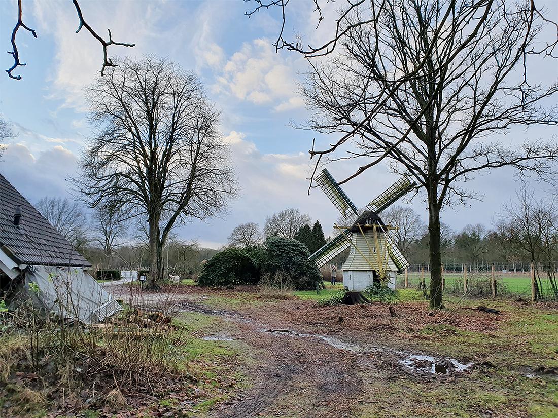 6, Molen 06907 v bis De Wielewaal (Wapenveld), Robin van Katwijk (28-1-2020)Er is een begin gemaakt met snoeien rond de molen waardoor de molen weer wat meer lucht krijgt. | Database Nederlandse molens