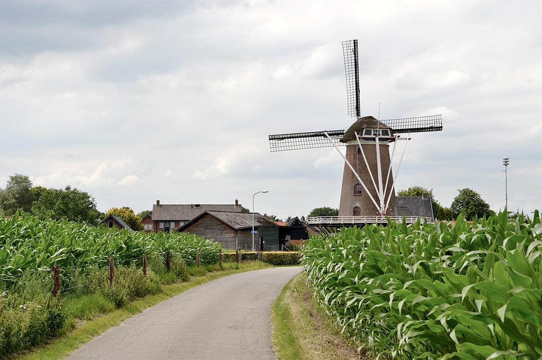 3, Molen 01921 De Hoop (Garderen), Rob Pols (22-7-2015)De molen staat bijzonder mooi aan de rand van het dorp. | Database Nederlandse molens