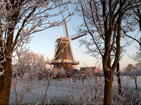 5, Molen 03137 De Ster (Geesteren), Joop Overman (22-12-2008) | Database Nederlandse molens