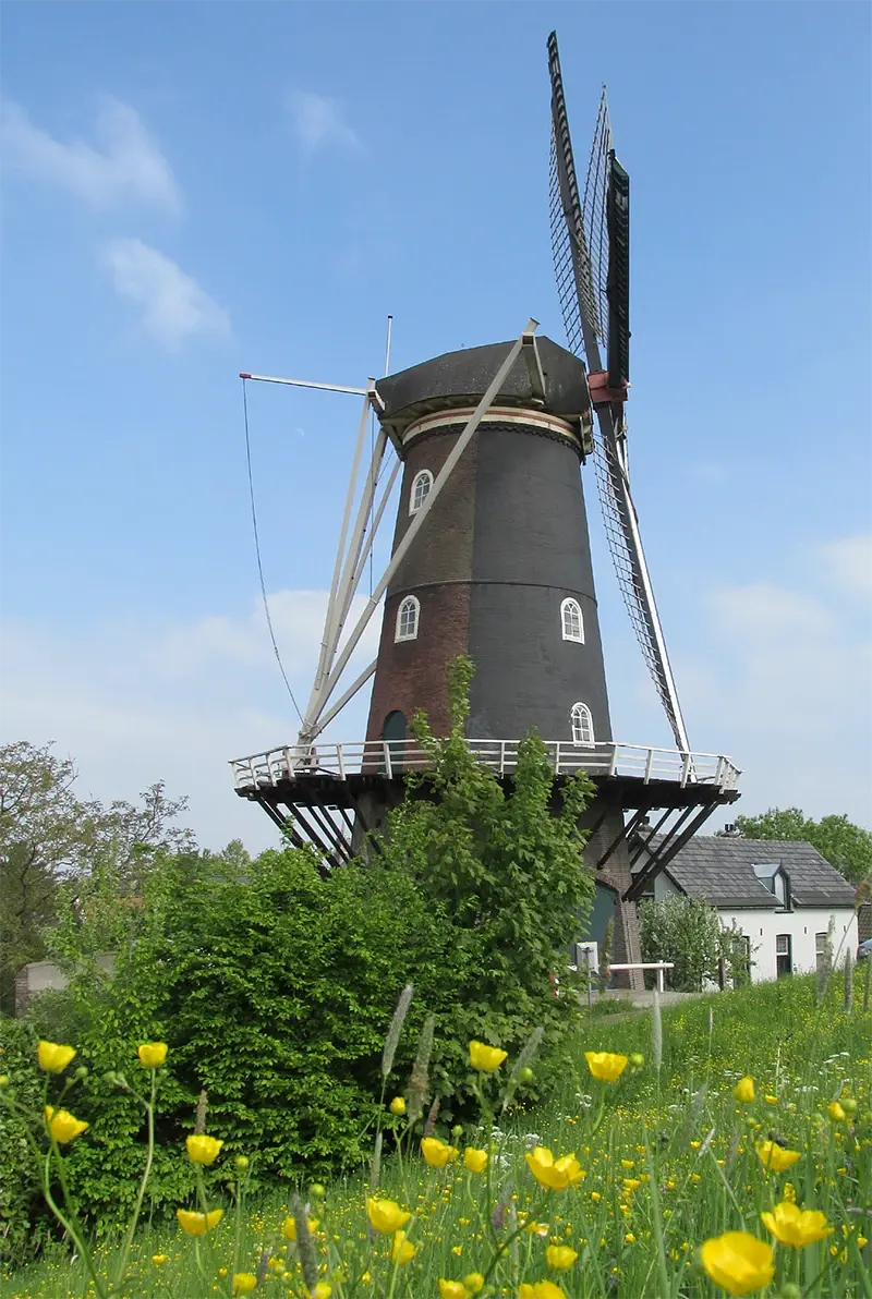 2, Molen 00844 bis De Blauwe Reiger (Haaften), Piet Glasbergen (19-5-2013) | Database Nederlandse molens