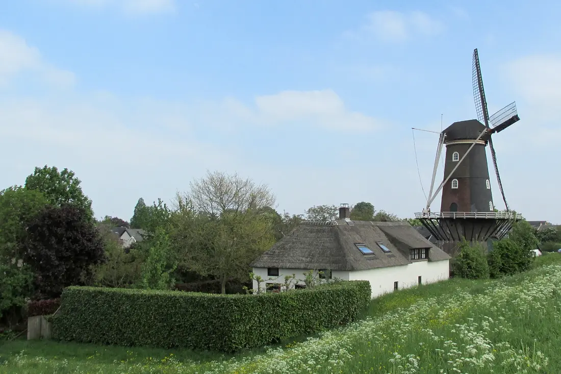 3, Molen 00844 bis De Blauwe Reiger (Haaften), Piet Glasbergen (19-5-2013) | Database Nederlandse molens