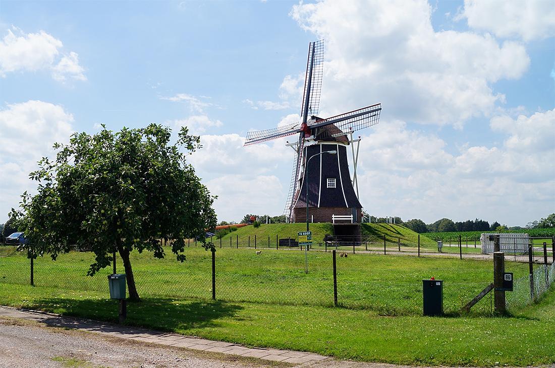 1, Molen 00879 Hermien (Harreveld), Boukje van Leijen (10-7-2016) | Database Nederlandse molens
