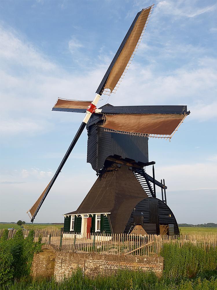Molen 00844 Voorste Molen / Hooglandse Molen (Hellouw), T. Dreessen (20-6-2021)De molen in zijn huidige (tevens authentieke) kleurstelling.  | Database Nederlandse molens
