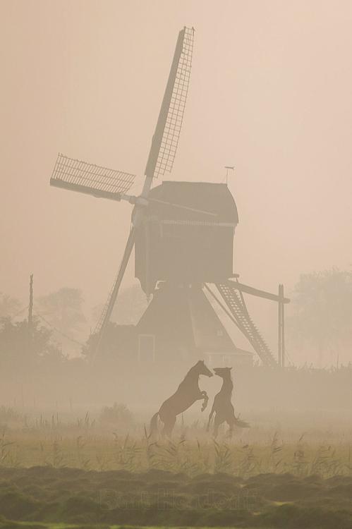 10, Molen 00844 Voorste Molen / Hooglandse Molen (Hellouw), Bart Hardoff (23-8-2013). | Database Nederlandse molens