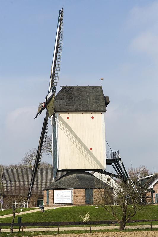 2, Molen 02572 De Vink (Herveld), Frank Hendriks (21-3-2019) | Database Nederlandse molens