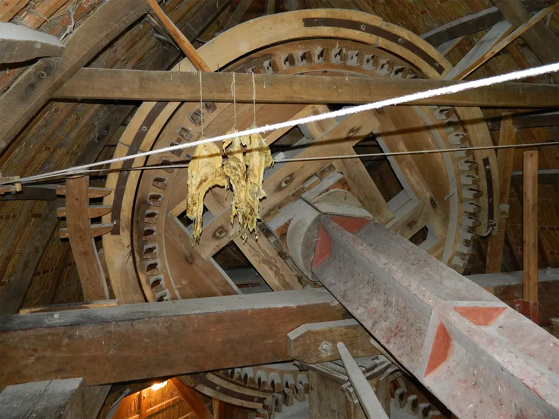 12, Molen 01239 De Maagd (Hulshorst), Vincent Mepschen (5-7-2022) | Database Nederlandse molens
