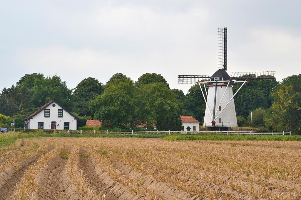 2, Molen 04202 De Duffelt (Kekerdom), Rob Pols (8-8-2018)De molen is weliswaar gelegen aan een landelijke akker en heeft vanaf die kant een meer dan behoorlijke windvang, de andere kant van de medaille is hier pijnlijk zichtbaar! | Database Nederlandse molens
