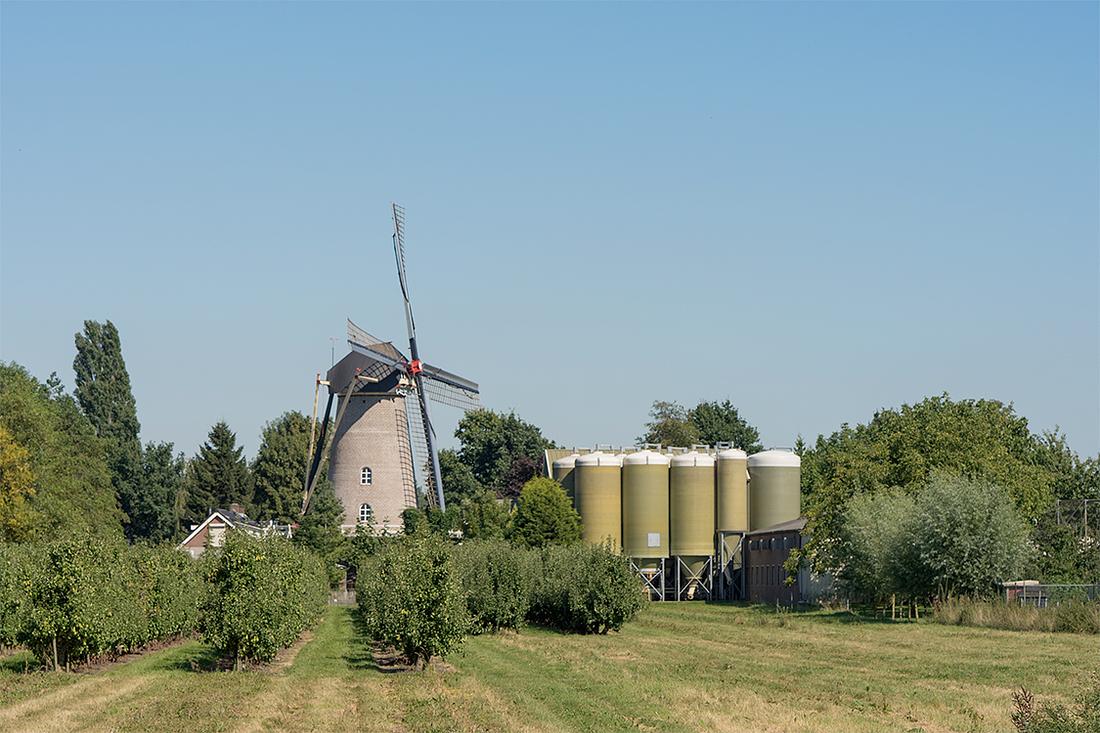 2, Molen 02621 Sara Catharina (Kerkdriel), Marcel van Nies (24-8-2016) | Database Nederlandse molens