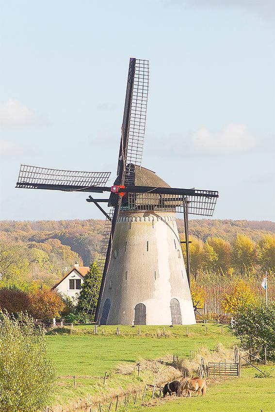 Molen 02661 De Marsch (Lienden), Frank Hendriks (8-11-2018) | Database Nederlandse molens