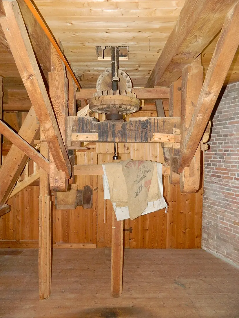 8, Molen 00454 Grote Geert (Kantens), Vincent Mepschen (9-6-2019) | Database Nederlandse molens