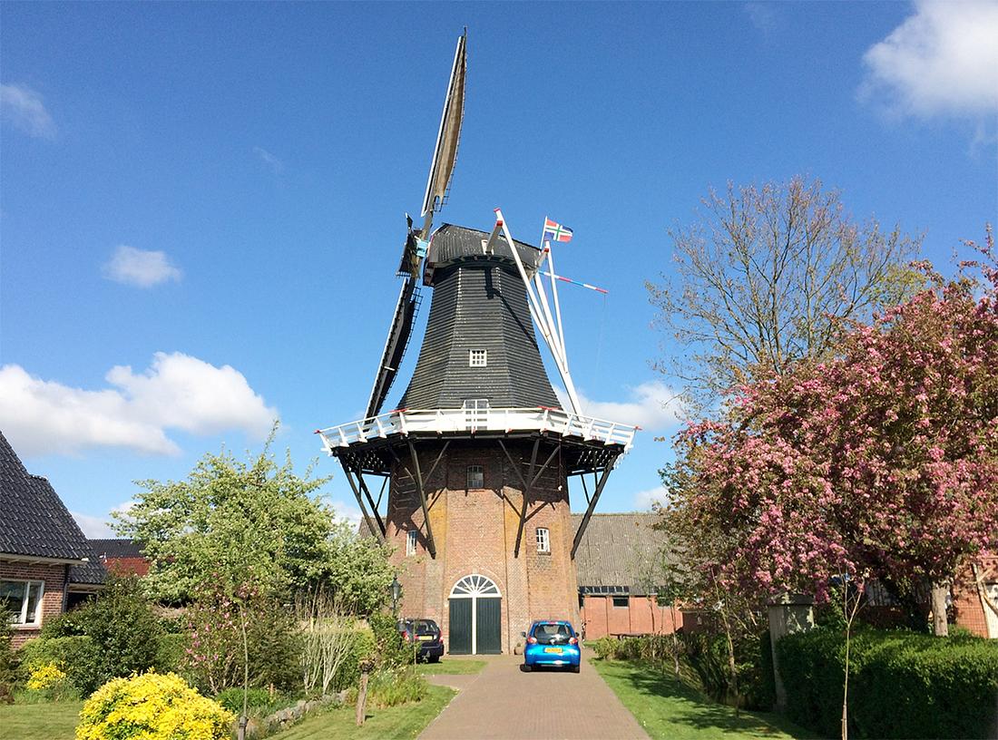 3, Molen 00448 De Stormvogel (Loppersum), Willem Telgen (29-5-2020) | Database Nederlandse molens