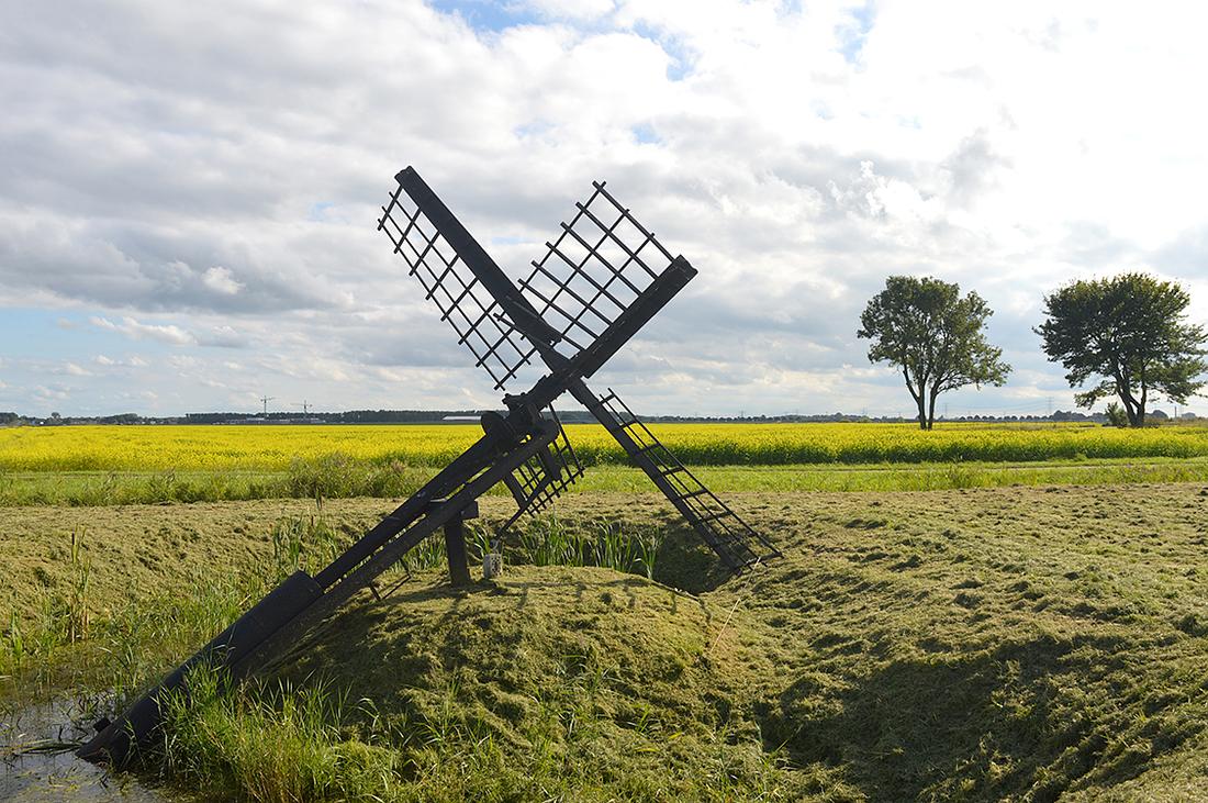 3, Molen 10129 (paaltjasker) (Nieuw-Scheemda), Erlinde Stephanus (5-9-2016) Het gele veld op de achtergrond is mosterdzaad. Het fungeert als groenbemester en fleurt het Oost-Groningse land op terwijl de boeren het overige land winterklaar maken... | Database Nederlandse molens