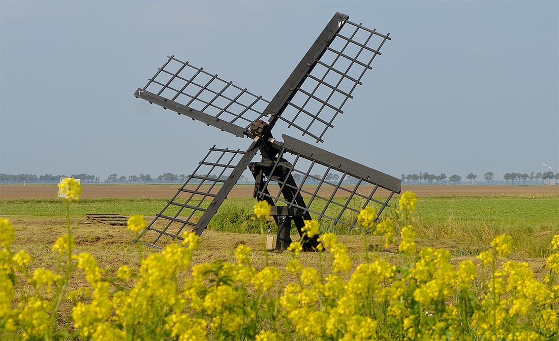 2, Molen 10129 (paaltjasker) (Nieuw-Scheemda), Erlinde Stephanus (5-9-2016) | Database Nederlandse molens