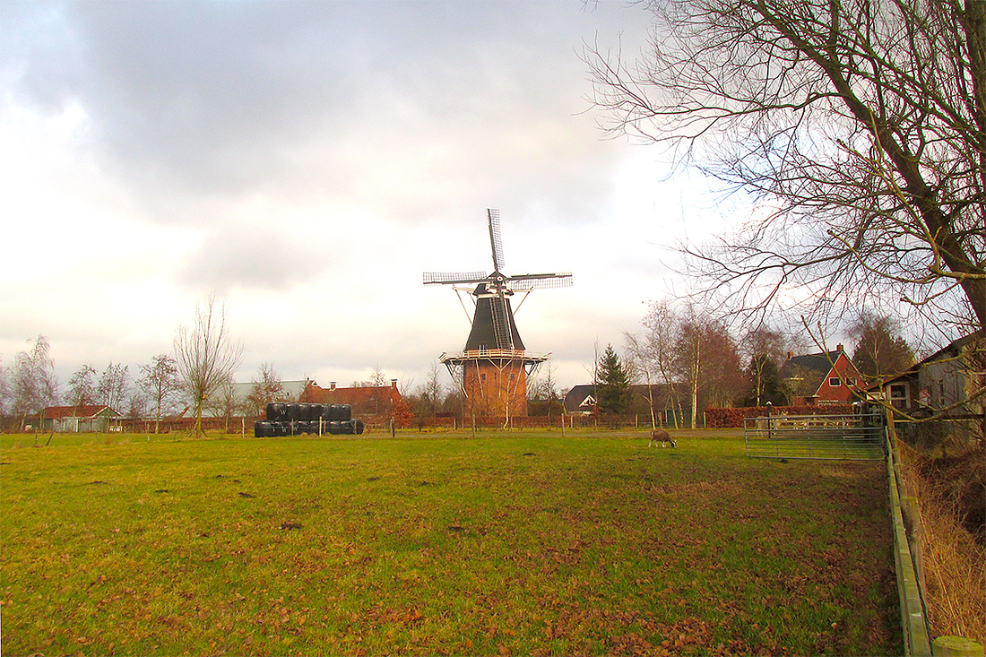 1, Molen 04455 Nieberter molen (Niebert), Piet Glasbergen (19-2-2017) | Database Nederlandse molens