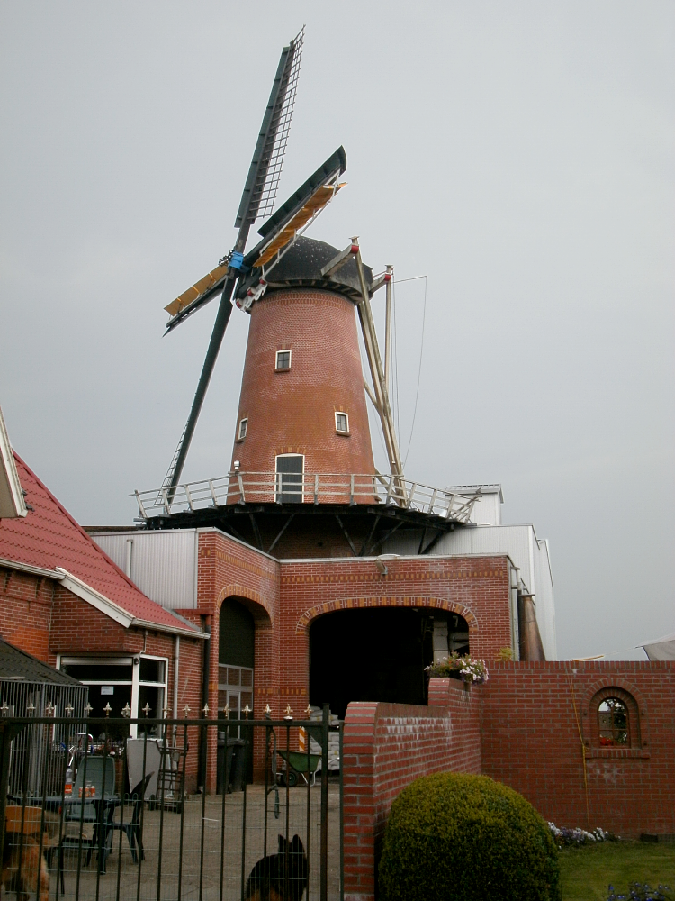 Molen 04458 De Zwaluw (Nieuwe Pekela), Dennis van Dijk (5-7-2012) | Database Nederlandse molens