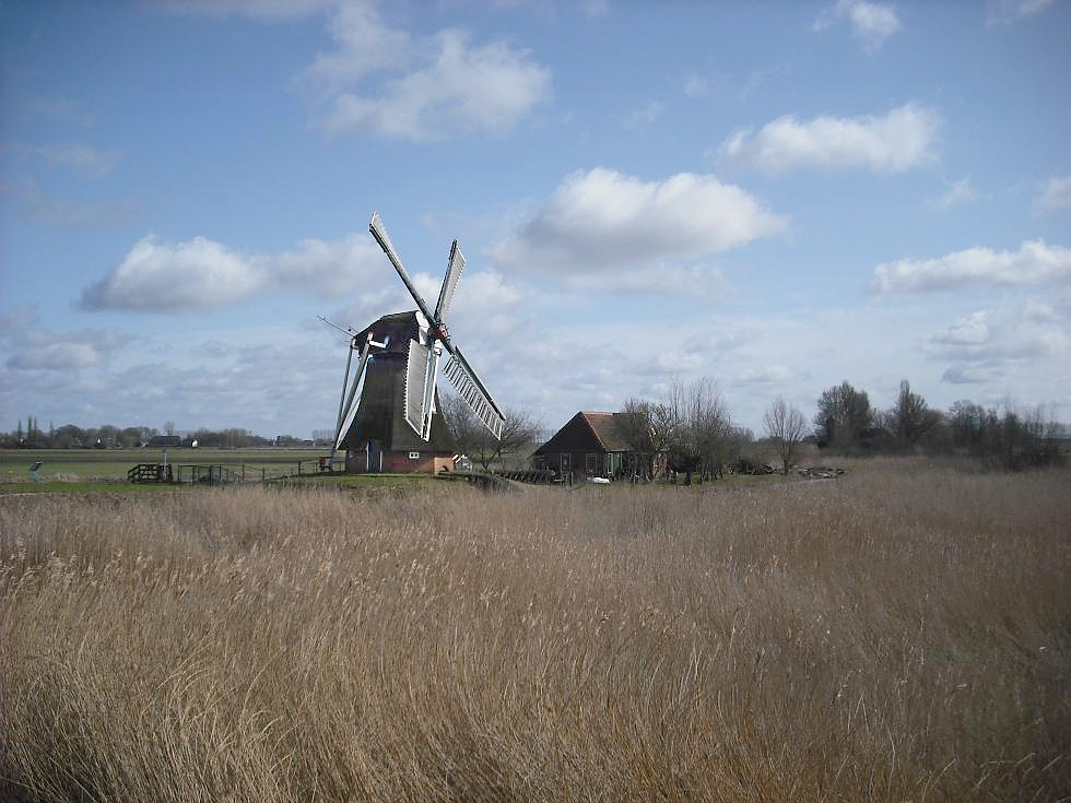 1, Molen 00663 Noordermolen (Noorddijk), Rob Hoving (21-03-2010) | Database Nederlandse molens