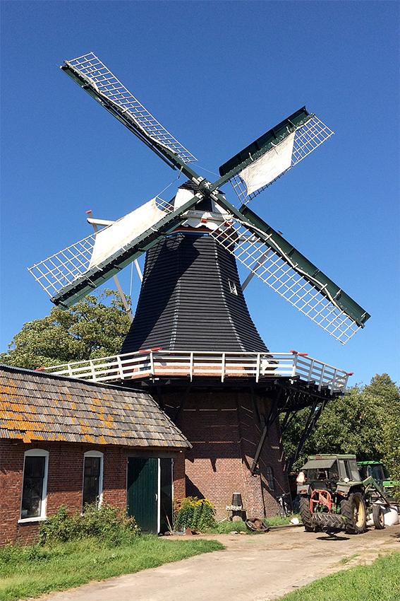 Molen 04422 De Korenschoof (Noordlaren), Willem Telgen (5-8-2020) | Database Nederlandse molens