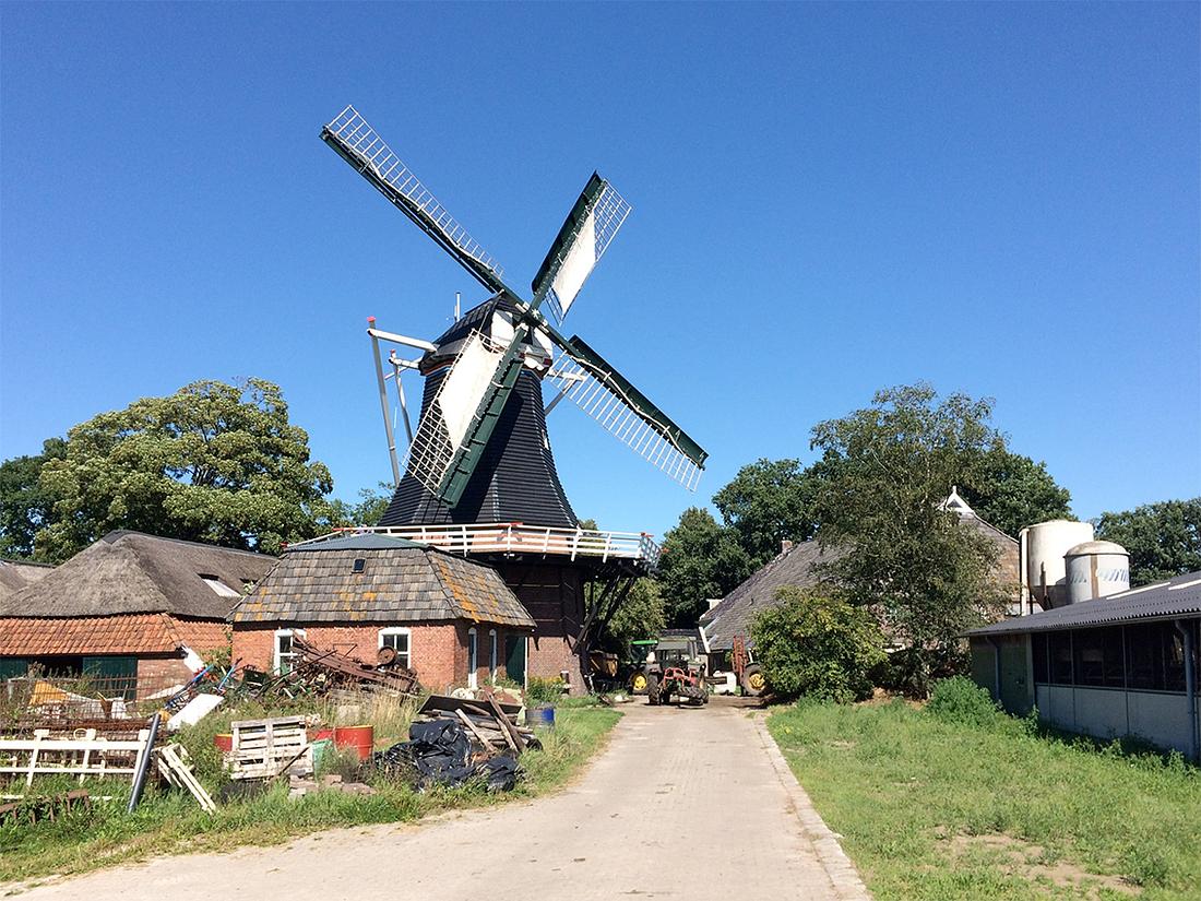 1, Molen 04422 De Korenschoof (Noordlaren), Willem Telgen (5-8-2020) | Database Nederlandse molens