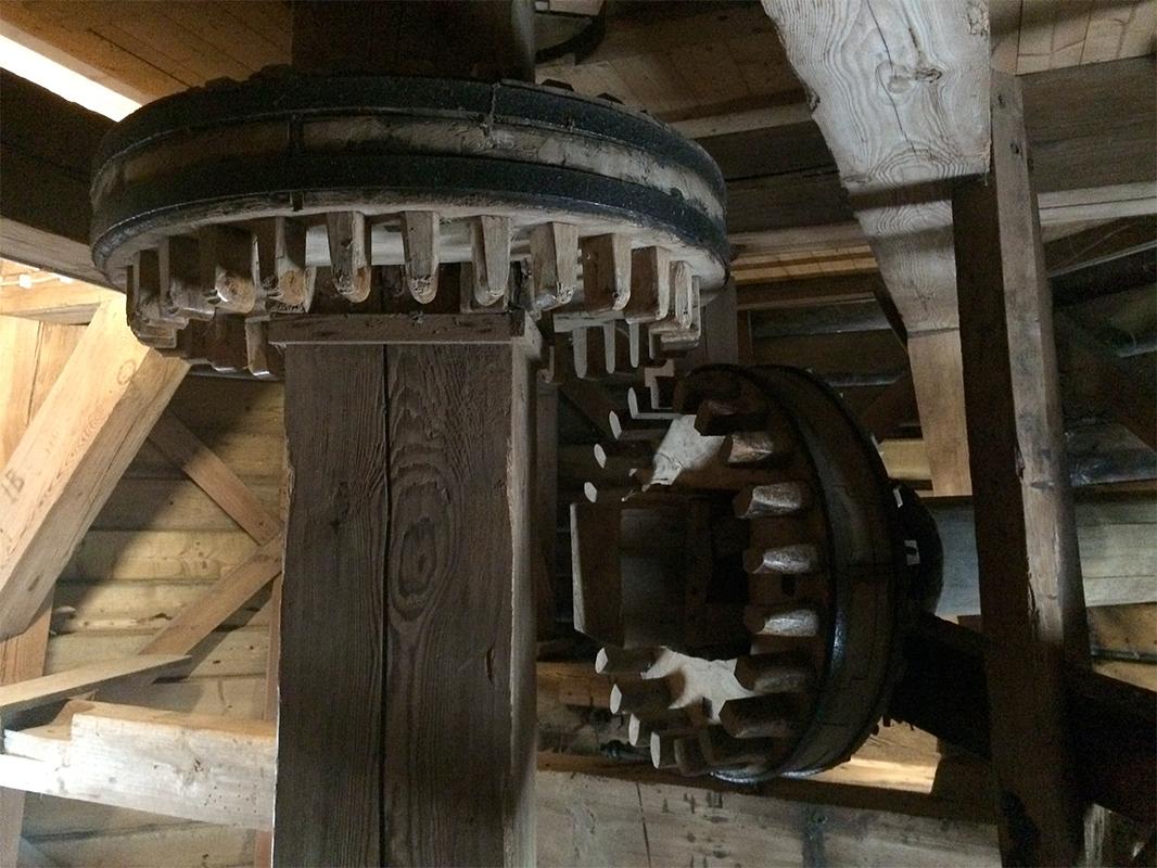 15, Molen 04422 De Korenschoof (Noordlaren), Willem Telgen (15-7-2020) | Database Nederlandse molens