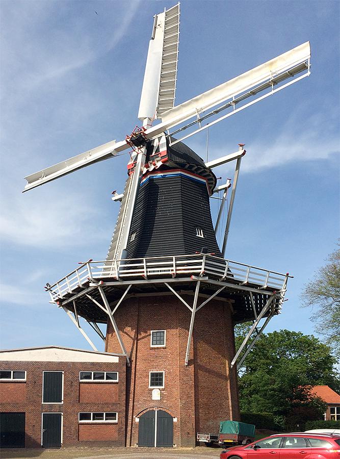 Molen 00479 De Leeuw (Oldehove), Willem Telgen (31-5-2020) | Database Nederlandse molens