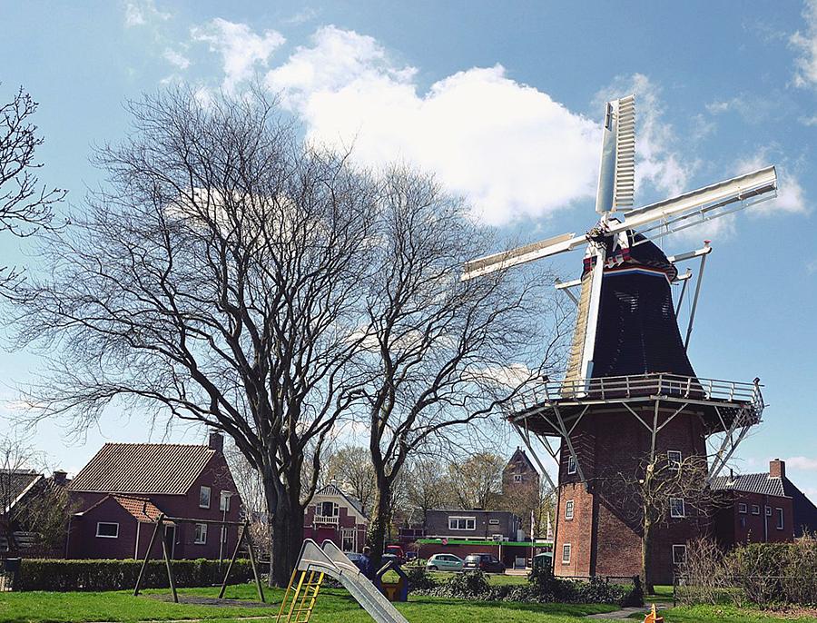 1, Molen 00479 De Leeuw (Oldehove), Martijn Scholtens (28-4-2013). | Database Nederlandse molens
