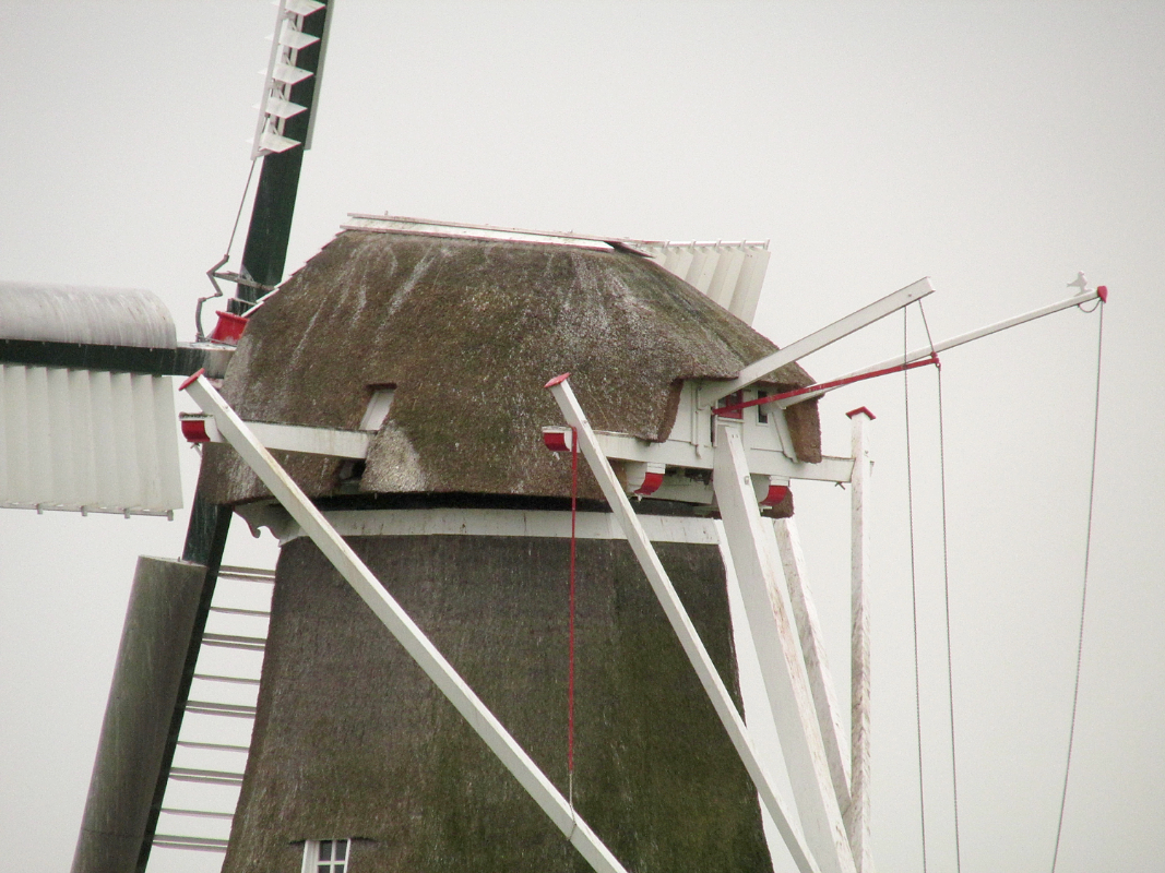 8, Molen 00460 De Zilvermeeuw (Onderdendam), Foto: Nell Jansen (2-1-2016) | Database Nederlandse molens