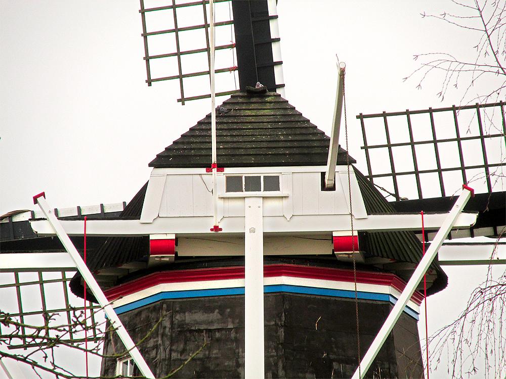 7, Molen 00492 De Vier Winden (Pieterburen), Piet Glasbergen (2-1-2016) | Database Nederlandse molens