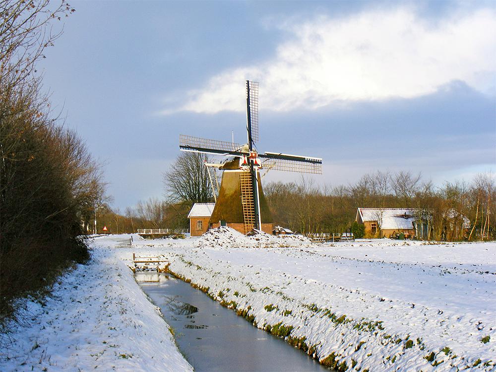 4, Molen 00547 Molen van de Groote Polder (Slochteren), De molen en zijn omgeving, naar het noordoosten gezien.Martin E. van Doornik (16-1-2016) | Database Nederlandse molens