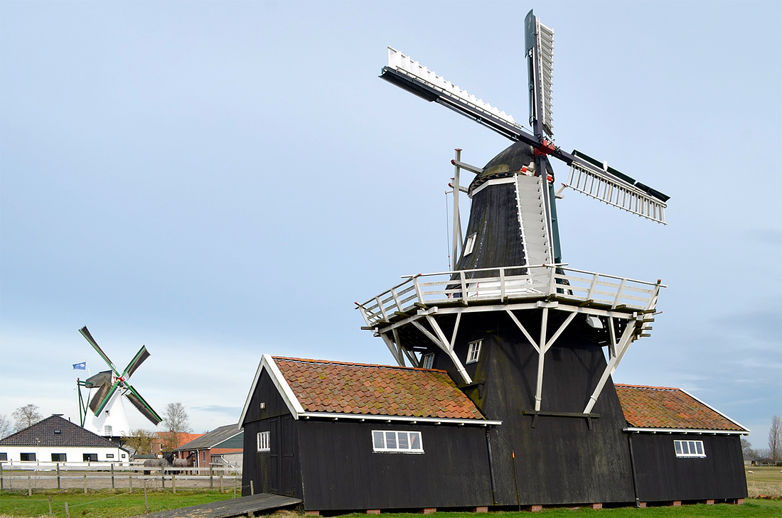 4, Molen 10282 Bovenrijge (Ten Boer), Rob Hoving (4-3-2017)De twee molens van Ten Boer op één foto. Op de achtergrond draait molen De Widde Meuln met 4 volle zeilen. | Database Nederlandse molens