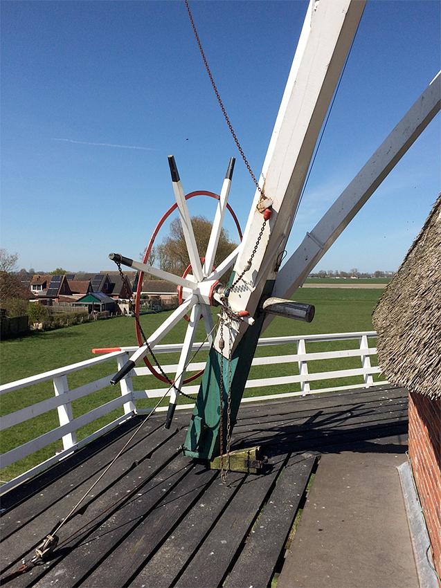 7, Molen 00530 Germania (Thesinge), Willem Telgen (18-4-2020) | Database Nederlandse molens