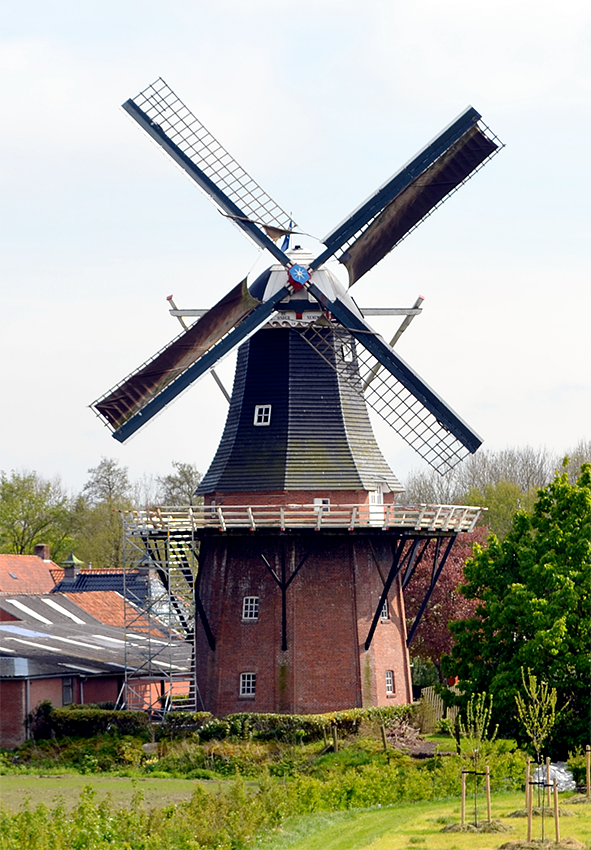 Molen 00489 De Onderneming (Vierhuizen), Rob Hoving (7-5-2017) | Database Nederlandse molens