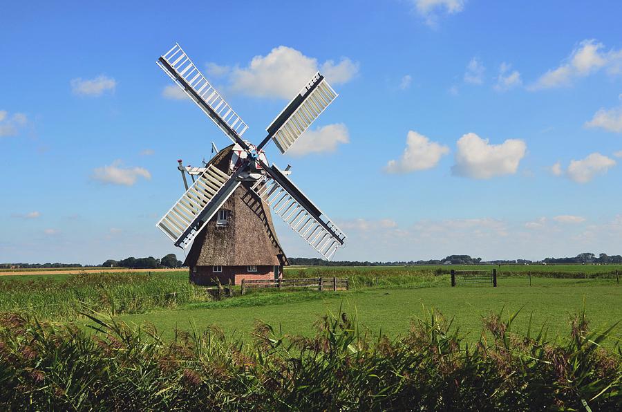 1, Molen 00445 De Palen (Westerwijtwerd), Bernd Käding (3-9-2014). | Database Nederlandse molens