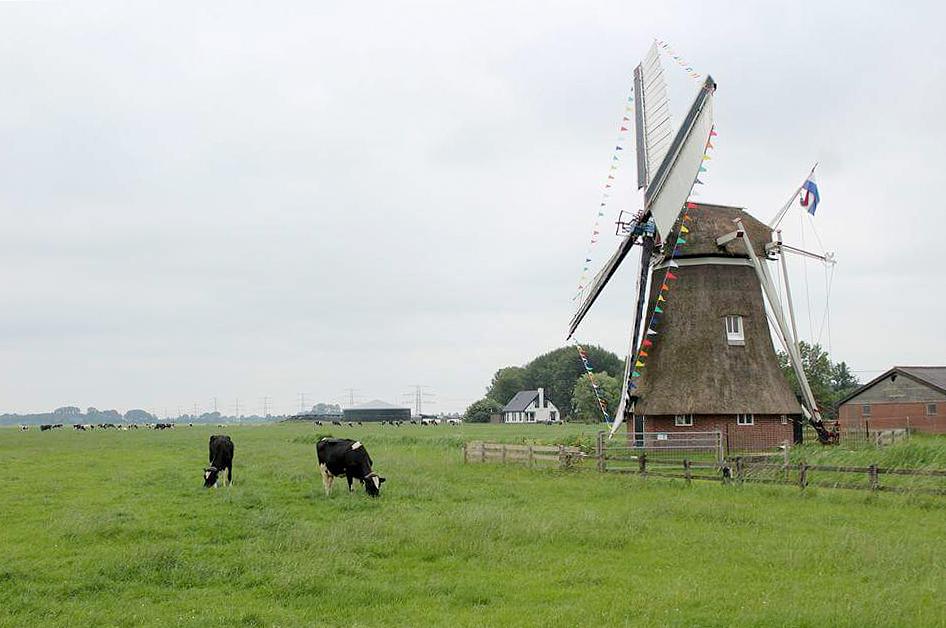 4, Molen 00445 De Palen (Westerwijtwerd), Egbert Reining (10-6-2018) | Database Nederlandse molens