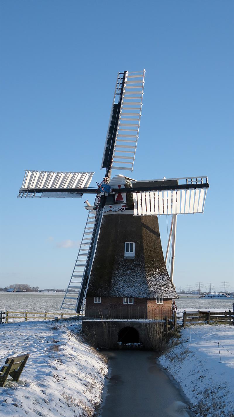 5, Molen 00445 De Palen (Westerwijtwerd), Arnold Wierenga (17-1-2016) | Database Nederlandse molens