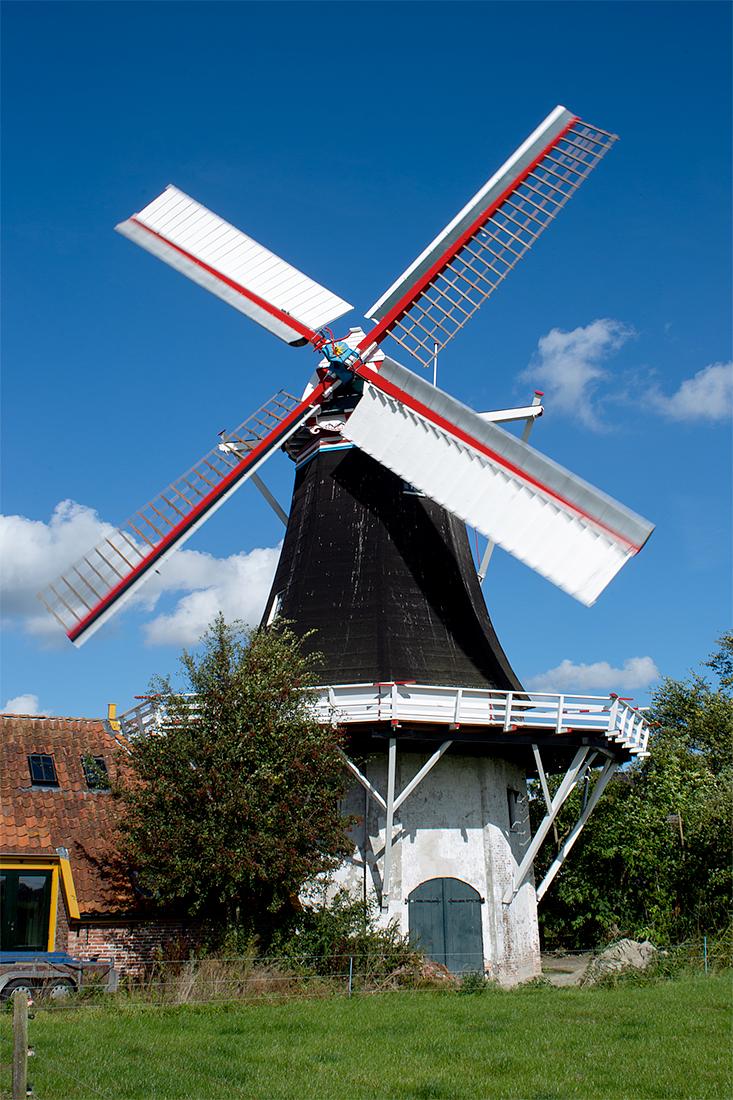 Molen 00443 Zeldenrust (Westerwijtwerd), Wouter Bakker (28-9-2021)Zeldenrust heeft vandaag voor het eerst sinds ruim een jaar gedraaid.  | Database Nederlandse molens