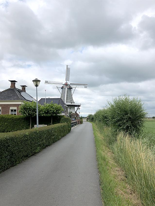 4, Molen 06409 De Wetsinger (Wetsinge), Sander Boom (8-7-2020) | Database Nederlandse molens
