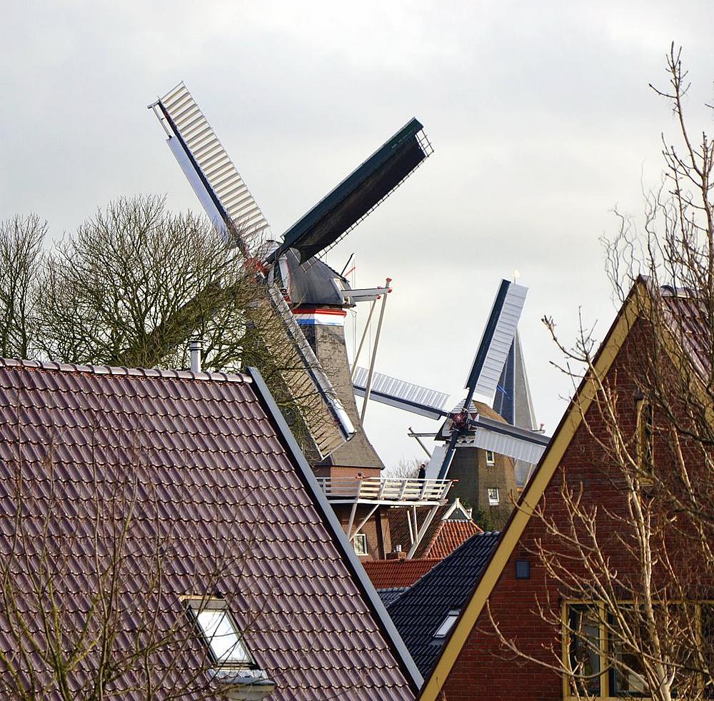 6, Molen 06407 De Ster (Winsum), Beide Winsumer molens op één foto draaiend. Daarachter De Vriendschap.  Martijn Scholtens (14-1-2012). | Database Nederlandse molens