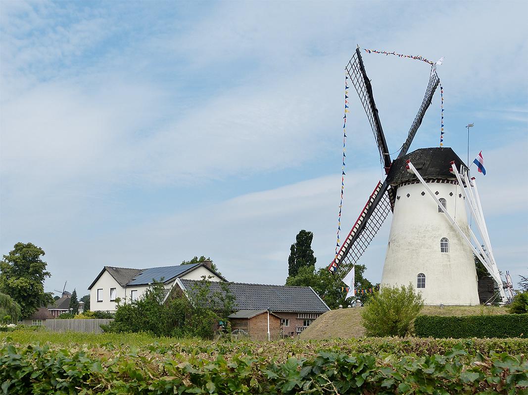 3, Molen 00871 De Volharding (Zeddam), Thije Jansen (6-7-2019)De Volharding en Torenmolen in een beeld gevangen. | Database Nederlandse molens