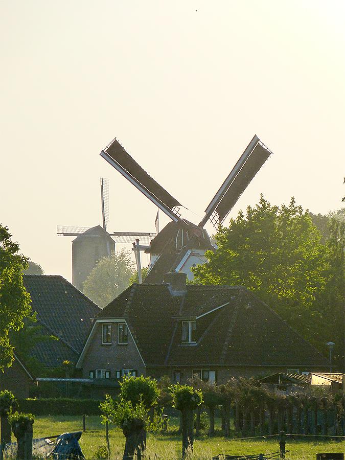 4, Molen 00871 De Volharding (Zeddam), Thije Jansen (20-5-2018)Beide Zeddamse molens (Volharding en Grafelijke Korenmolen) in een beeld gevangen. | Database Nederlandse molens
