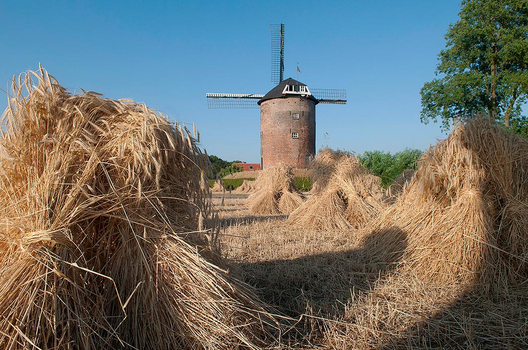 5, Molen 00862 Buitenmolen (Zevenaar), Leo Wouters (17-7-2018) | Database Nederlandse molens
