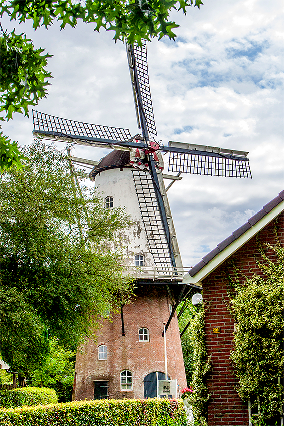 4, Molen 06422 Veldkamps Meul'n (Bellingwolde), Bram Westerink (5-8-2017) | Database Nederlandse molens