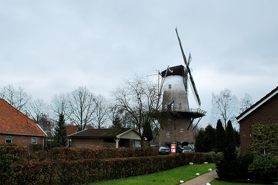 5, Molen 06422 Veldkamps Meul'n (Bellingwolde), Martijn Scholtens (14-3-2009) | Database Nederlandse molens