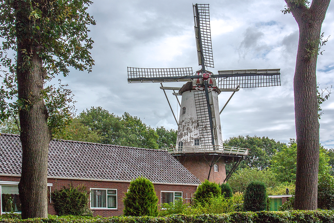 1, Molen 06422 Veldkamps Meul'n (Bellingwolde), Bram Westerink (5-8-2017) | Database Nederlandse molens