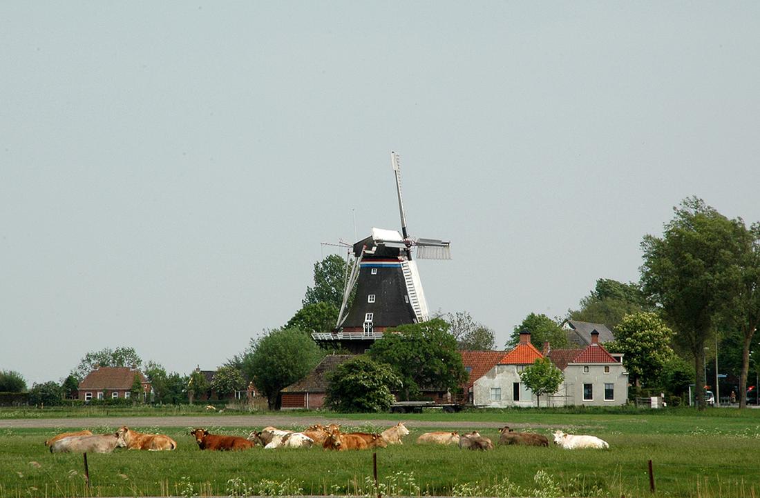 3, Molen 00493 De Jonge Hendrik (Den Andel), René Speur (7-5-2011) | Database Nederlandse molens