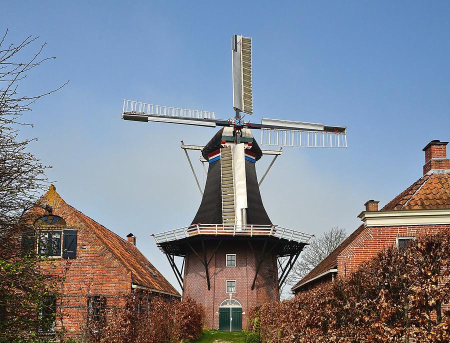 4, Molen 00493 De Jonge Hendrik (Den Andel), Bernd Käding (3-4-2014)Vanwege de privacy van de eigenaren van de panden links en rechts zijn er beukenhagen geplant! | Database Nederlandse molens