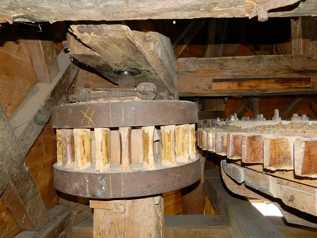 16, Molen 00493 De Jonge Hendrik (Den Andel), Vincent Mepschen (9-6-2019) | Database Nederlandse molens